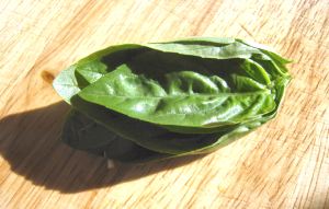 Chiffonade of basil 001