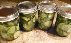 Refrigerator Pickles 029