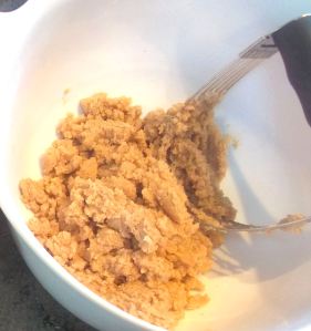 Mom's Apple Crisp 013