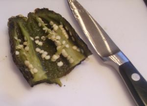 Roasting and Peeling Hot Peppers 007