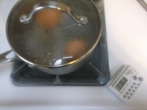 QT Soft Boiled Eggs 003