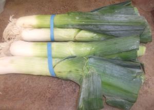 Leeks 046