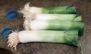Leeks 048
