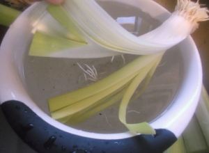 Olive Oil Braised Leeks 009