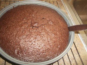 Olive Oil Chocolate Cake 076