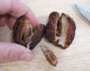 Bleu Cheese Stuffed Dates Wrapped in Prosciutto 048