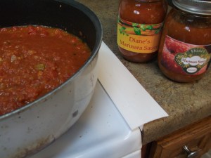 Pasta Alla Norma 043