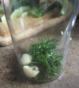 Crunchy Refrigerator Dill Pickles 007