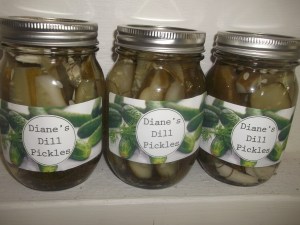 Dill pickles 002
