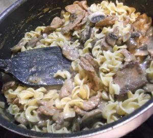 Beef Stroganoff 029