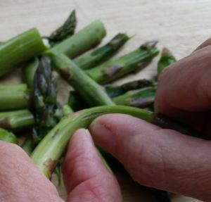 Snapping asparagus